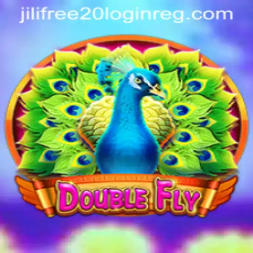 Exploring the Thrilling World of DoubleFly